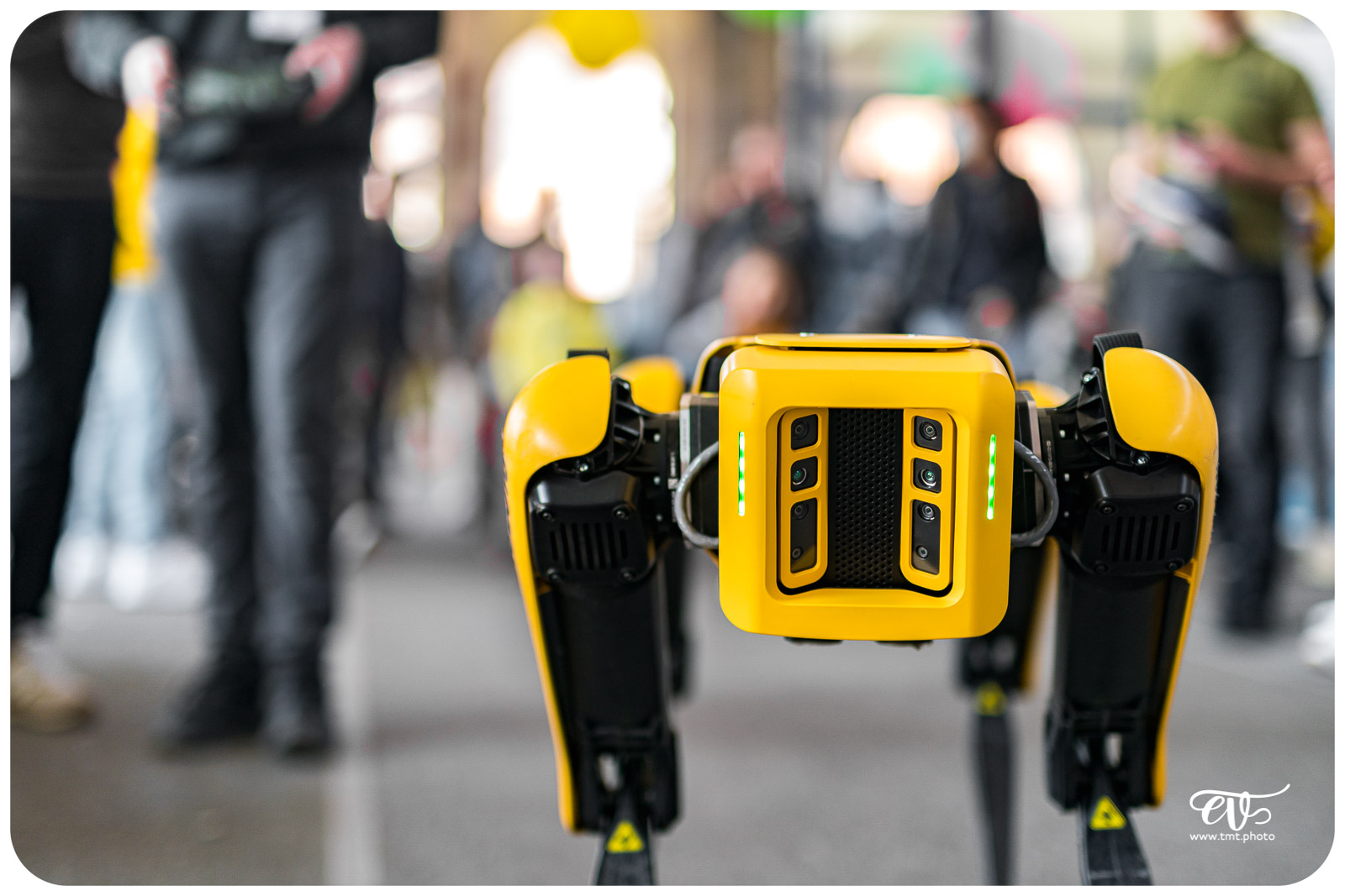 SPOT (BOSTON DYNAMICS)